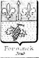 Forsinck Coat of Arms / Family Crest 0