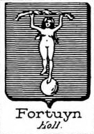 Fortuyn Coat of Arms / Family Crest 0
