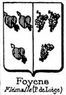 Foyens Coat of Arms / Family Crest 0