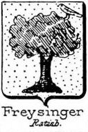 Freysinger Coat of Arms / Family Crest 1