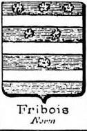 Fribois Coat of Arms / Family Crest 0