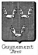 Guynement Coat of Arms / Family Crest 0