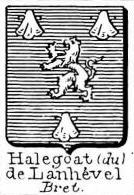 Halegoat Coat of Arms / Family Crest 1