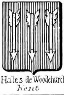 Hales Coat of Arms / Family Crest 4