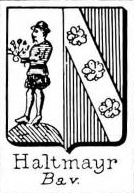Haltmayr Coat of Arms / Family Crest 0