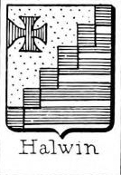 Halwin Coat of Arms / Family Crest 0