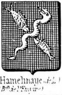 Hamelinaye Coat of Arms / Family Crest 0