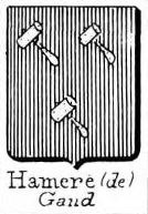 Hamere Coat of Arms / Family Crest 0