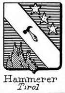 Hammerer Coat of Arms / Family Crest 1