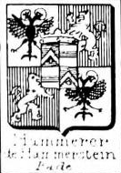 Hammerer Coat of Arms / Family Crest 2