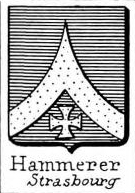 Hammerer Coat of Arms / Family Crest 0