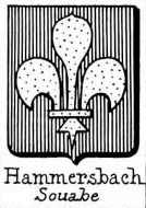 Hammersbach Coat of Arms / Family Crest 0
