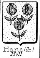 Hane Coat of Arms / Family Crest 6