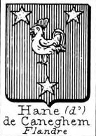 Hane Coat of Arms / Family Crest 8