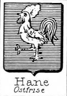 Hane Coat of Arms / Family Crest 1