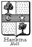 Hankins Coat of Arms / Family Crest 1