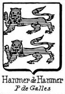 Hanmer Coat of Arms / Family Crest 8