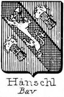 Hanschl Coat of Arms / Family Crest 0