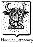 Hard Coat of Arms / Family Crest 4