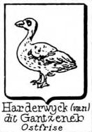Harderwyck Coat of Arms / Family Crest 1