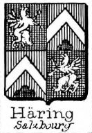 Haring Coat of Arms / Family Crest 4