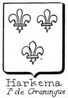 Harkema Coat of Arms / Family Crest 0