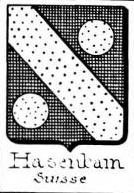 Hasenbain Coat of Arms / Family Crest 1