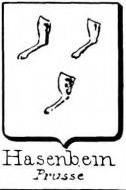 Hasenbein Coat of Arms / Family Crest 1