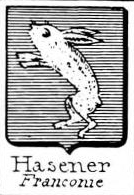 Hasener Coat of Arms / Family Crest 0