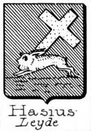 Hasius Coat of Arms / Family Crest 0
