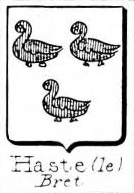Haste Coat of Arms / Family Crest 0