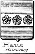 Haue Coat of Arms / Family Crest 0