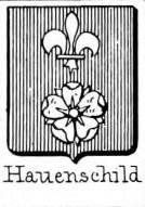 Hauenschild Coat of Arms / Family Crest 2
