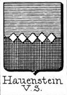 Hauenstein Coat of Arms / Family Crest 0