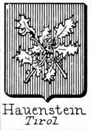 Hauensten Coat of Arms / Family Crest 0