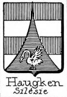 Haugken