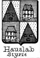 Hauslab Coat of Arms / Family Crest 0