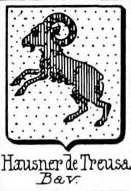 Hausner Coat of Arms / Family Crest 6