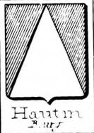 Hautin Coat of Arms / Family Crest 0