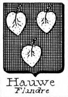 Hauwe