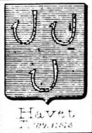 Havet Coat of Arms / Family Crest 1
