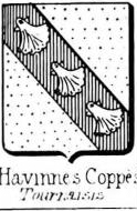 Havinnes Coat of Arms / Family Crest 0