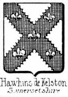 Hawkins Coat of Arms / Family Crest 1