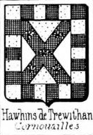Hawkins Coat of Arms / Family Crest 2