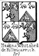 Hawkins Coat of Arms / Family Crest 3