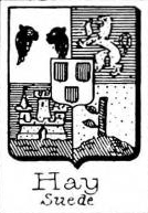 Hay
