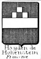 Hayden Coat of Arms / Family Crest 1