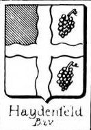 Haydenfeld Coat of Arms / Family Crest 0