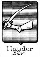 Hayder Coat of Arms / Family Crest 0