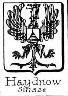 Haydnow Coat of Arms / Family Crest 0
